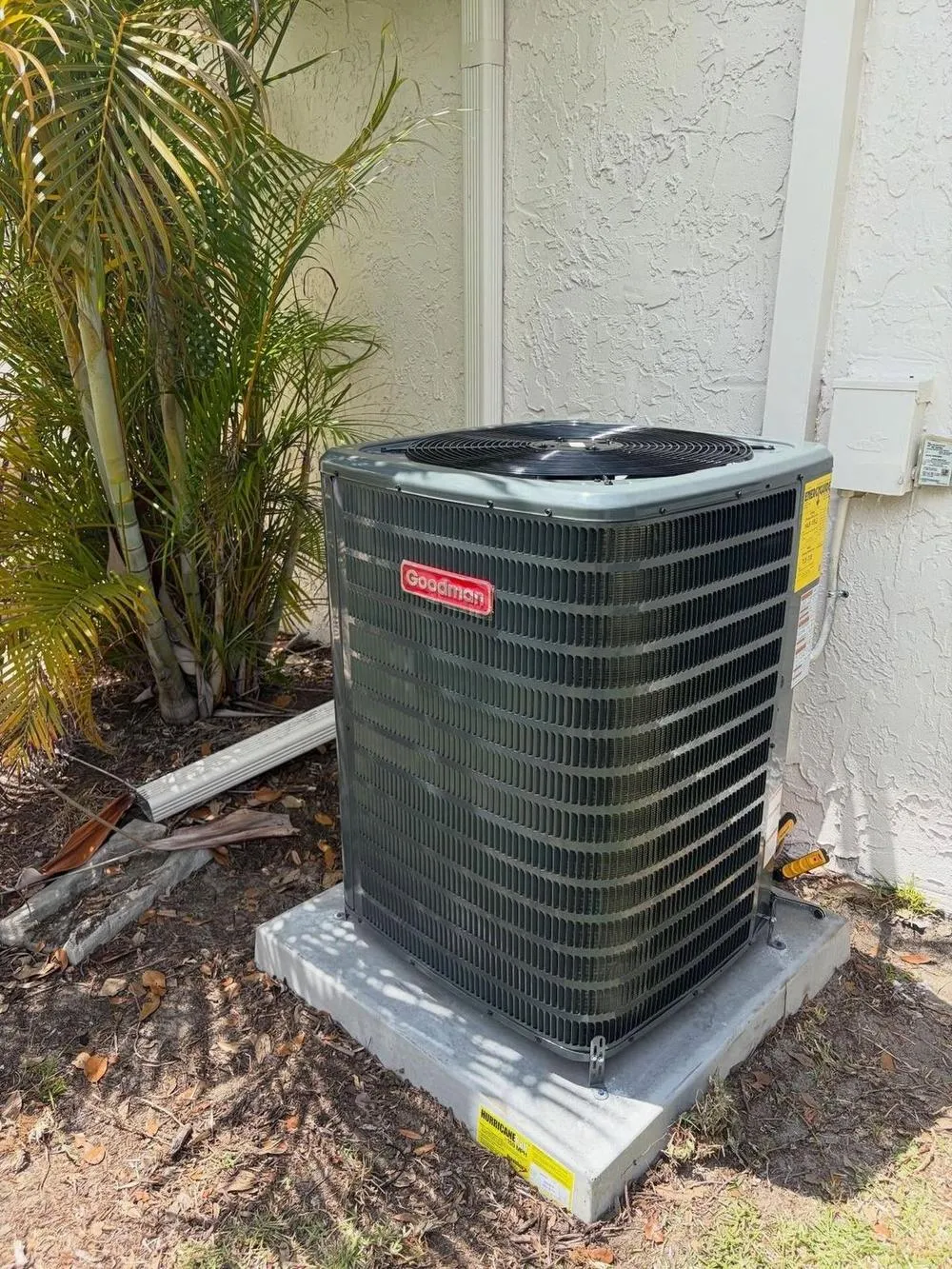 Condenser tucked by a palm serviced by Mendoza Heating and Air in Dunedin, FL